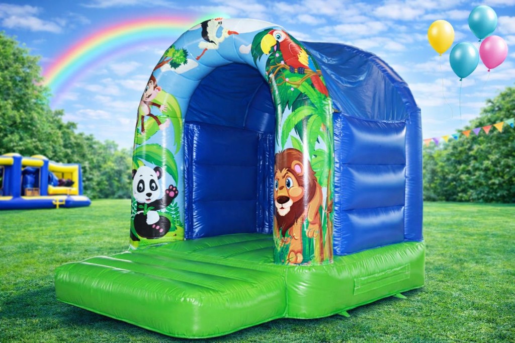 Safari 8x11ft bouncy castle